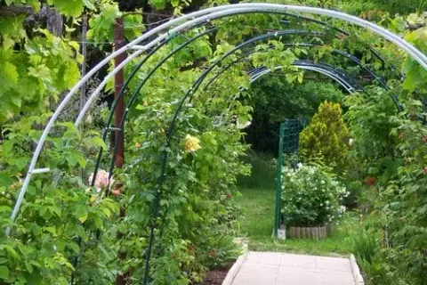 Pergola z drutu DIY: Jak zbudować krok po kroku?