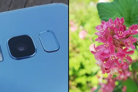Zdjęcie oka jak pro? Makrofotografia smartfonem i aparatem