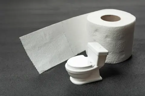 Miniaturowa toaleta i rolka papieru toaletowego symbolizują problem nietrzymania kału.