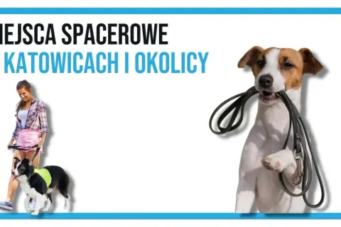 Gdzie z psem na spacer w Śląsku? Odkryj najlepsze miejsca dla psów