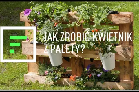 Jak zrobić kwietnik z europalety? Poradnik DIY krok po kroku