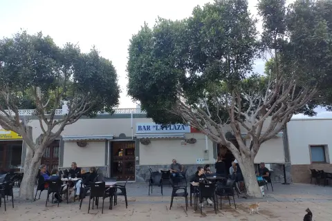 Gente disfrutando en la terraza de "Bar La Plaza", uno de los mejores restaurantes de Cabo de Gata, bajo la sombra de árboles frondosos.