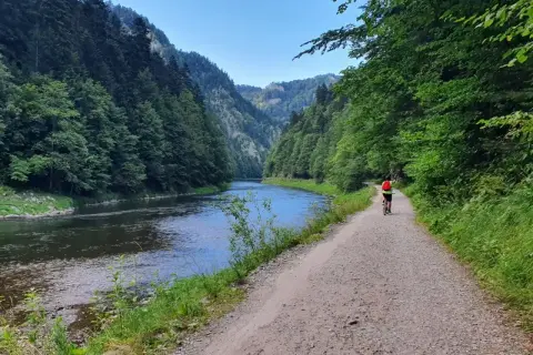 Rowerzystka przemierza malowniczą trasę velo dunajec w otoczeniu gór i lasów.