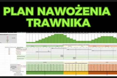 Kiedy nawozić trawnik? Kalendarz nawożenia krok po kroku