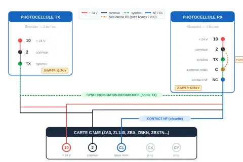 Schéma de branchement photocellule portail : émetteur TX et récepteur RX connectés à une carte CAME.