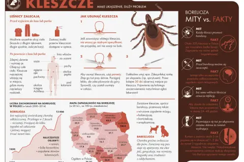 Choroby od kleszcza: Objawy, leczenie, profilaktyka. Co robić?