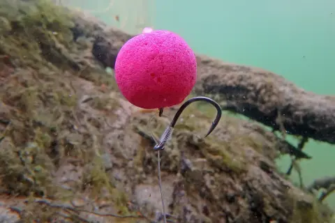Ein pinker Pop-Up Boilie mit einem Haken, bereit, d rig binden. Unterwasseraufnahme mit Holz und Algen im Hintergrund.