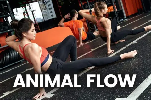 Trzy osoby ćwiczą w siłowni, wykonując ruchy inspirowane **animal flow**.