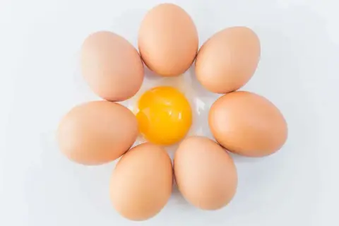 Sieben braune Eier sind kreisförmig angeordnet, mit einem aufgeschlagenen Ei in der Mitte. Ein Ei hat etwa 6 Gramm Protein.