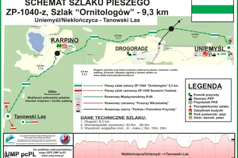 Twój przewodnik: Kajaki Wielkopolska. Trasy, ceny, porady!