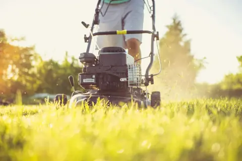 Osoba kosi trawę kosiarką ręczną rotacyjną. Słońce przebija się przez drzewa, tworząc ciepłą atmosferę.