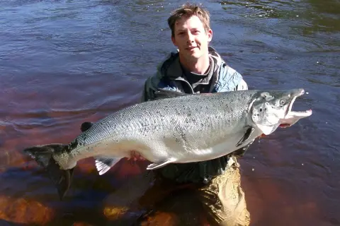 Ein Mann steht im Wasser und hält stolz einen riesigen Lachs, ein Erfolg beim Lachs angeln.