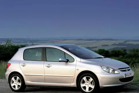 Srebrny Peugeot 307 2.0 HDi na tle malowniczego krajobrazu.