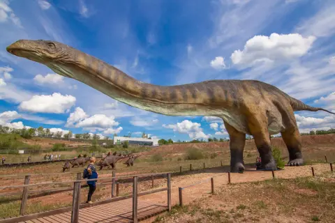 Gigantyczny diplodok w największym muzeum dinozaurów w Polsce. Zwiedzający spacerują po drewnianych kładkach, podziwiając prehistoryczne zwierzęta.