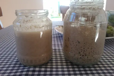 Jak dokarmiać zakwas na chleb? Poradnik dla idealnego wypieku