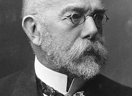 Robert Koch co odkrył? Niezwykłe osiągnięcia w mikrobiologii