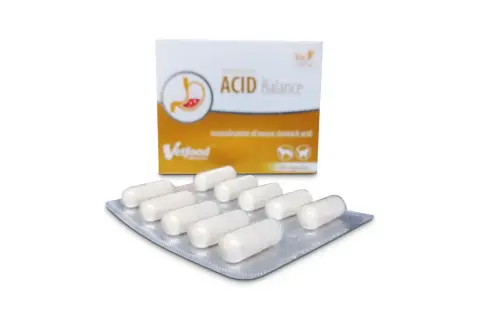 Acid Balance dla psa: zakwaszanie moczu, kamica i infekcje