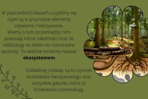 Co to jest szata roślinna i dlaczego jest kluczowa dla ekosystemu?