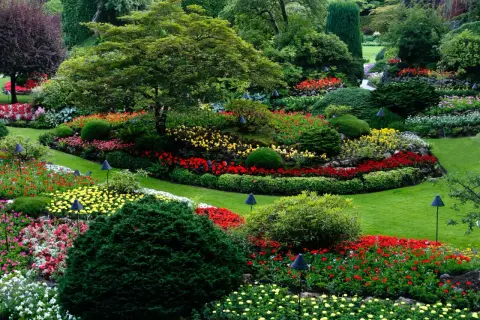 Arbustos que dan sombra: elige los mejores para tu jardín