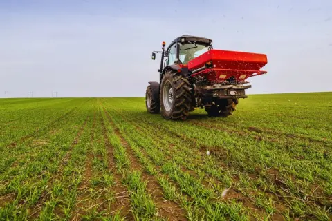 Czerwony traktor rozsypuje nawóz na zielonym polu młodego zboża.