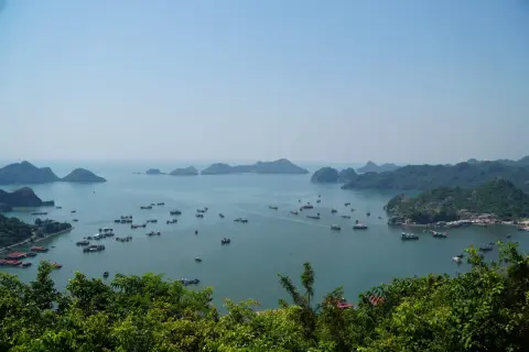 Widok na zatokę Ha Long z licznymi łodziami i statkami, otoczoną zielonymi, skalistymi wyspami.