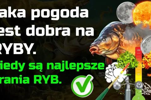 Jaka pogoda na ryby? Rozszyfruj prognozę i łów skuteczniej!