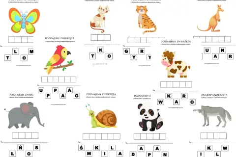 Zwierzęta karty pracy: motyl, papuga, słoń, ślimak, kot, tygrys, krowa, panda, kangur, wilk. Uzupełnij nazwy zwierząt.