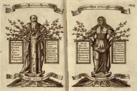 Drzewo genealogiczne z wizerunkami mężczyzny i kobiety, z listami pokrewieństwa. Czy siostrzeniec i wujek to to samo? Nie, to różne relacje rodzinne.