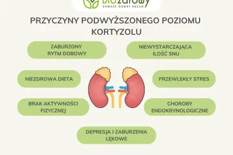 Objawy niskiego kortyzolu: Jak rozpoznać niedobór hormonu stresu?
