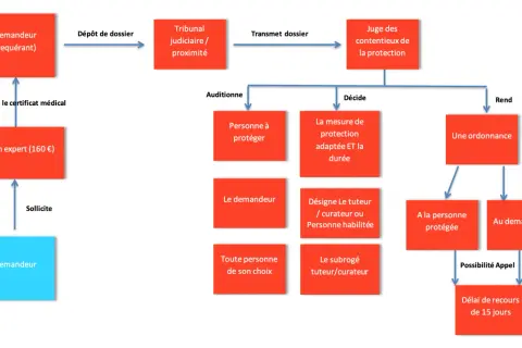 Schéma du processus de mise sous tutelle : du dépôt de dossier à la décision du juge, incluant l'audition et la désignation d'un tuteur.