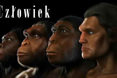 Jak powstał pierwszy człowiek? Od hominidów do Homo sapiens