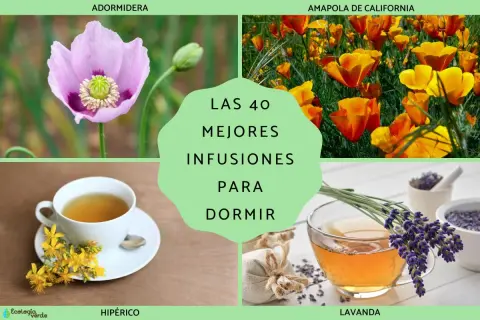 Adormidera, amapola de California, hipérico y lavanda, ingredientes para **tes relajantes** que ayudan a dormir.