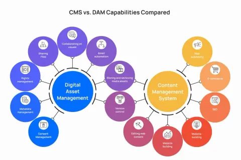 Diagram comparing Digital Asset Management (DAM) and Content Management System (CMS) capabilities. DAM focuses on asset storage, rights, and collaboration. CMS handles web publishing, e-commerce, and website building. Do I need a video CMS? This chart ...