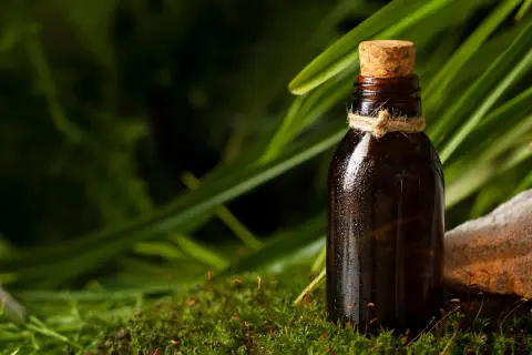 Butelka z ciemnego szkła, z korkiem i sznurkiem, otoczona mchem i zielenią. Woda na szkle sugeruje świeżość, jak w szyprowe perfumy.