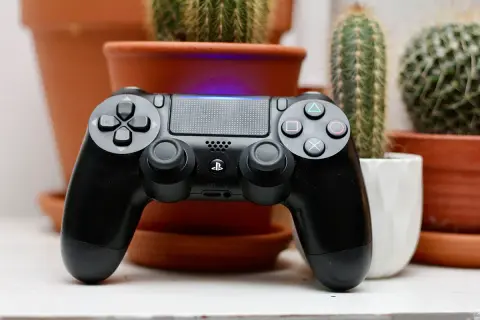 Czarny pad DualShock 4, gotowy do gry w r3. W tle kaktusy w doniczkach.
