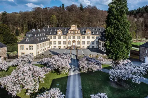 Schloss Ehreshoven erstrahlt im Frühling, umgeben von blühenden Magnolien und einem majestätischen Nadelbaum.