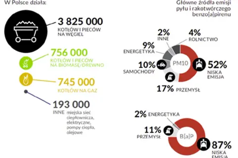 Wykresy pokazują, co wchodzi w skład smogu: kotły węglowe, biomasa, gaz, przemysł, energetyka, rolnictwo i samochody.