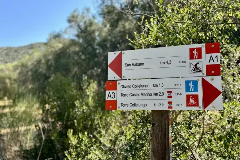 Cartelli segnaletici nel Parco Regionale della Maremma indicano sentieri per San Rabano, Oliveto Collelungo e Torre Castel Marino.