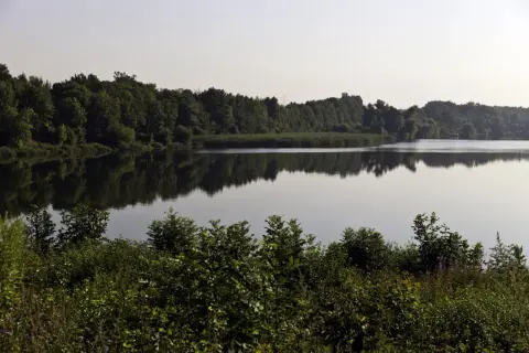 Spokojne, duże jezioro Dzierżno Duże otoczone gęstym lasem. Woda odbija drzewa, tworząc malowniczy krajobraz.