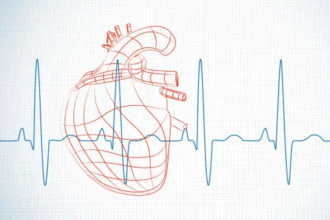 Szkic serca na tle EKG. Zastanawiasz się, hrv co to jest? To wskaźnik zmienności rytmu serca.
