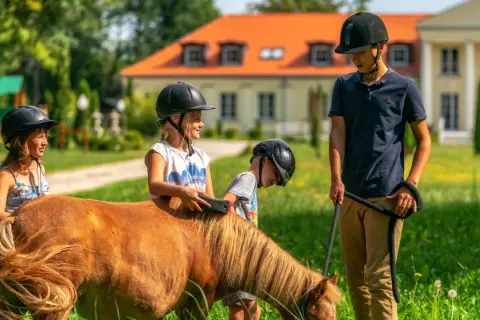 Hotel ze stadniną koni: Jak wybrać idealne wakacje w siodle?