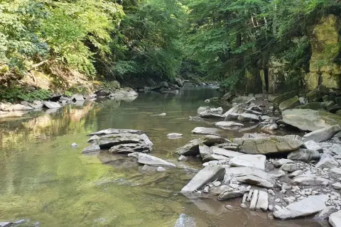 Kamieniste koryto rzeki w lesie, idealne na spacer po polańczyk szlaki. Woda odbija zieleń drzew.