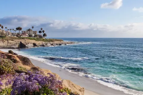 Flores moradas adornan las **playas de La Jolla**, con palmeras y casas en los acantilados, y el océano azul brillante.
