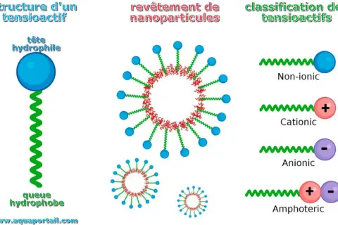 Structure d'un tensioactif, revêtement de nanoparticules et classification des tensioactifs, dont l'agent de surface non ionique.