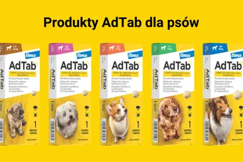 Tabletki na kleszcze dla psa AdTab chronią przed pasożytami. Skutki uboczne są rzadkie, a produkt działa 30 dni.