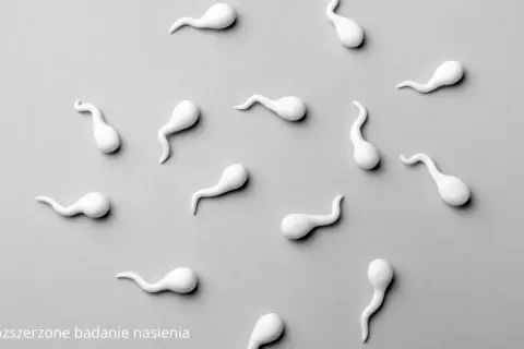 Badanie nasienia w domu: Przygotowanie krok po kroku do seminogramu