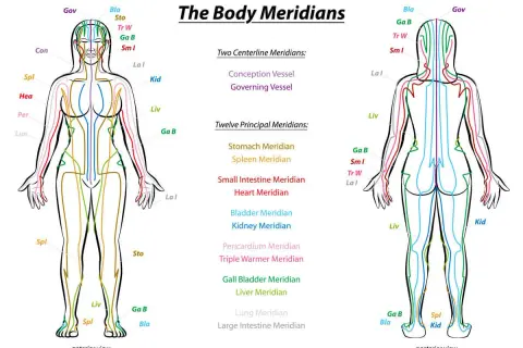 Schema dei meridiani del corpo, che illustra i percorsi energetici e i punti di pressione corpo per trattamenti di agopuntura.