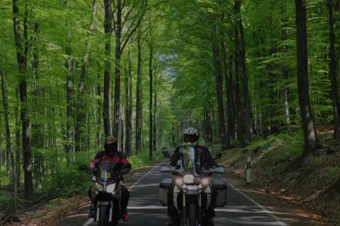 Zwei Motorradfahrer genießen eine entspannte Motorradtour im Bergischen Land, umgeben von einem leuchtend grünen Buchenwald.