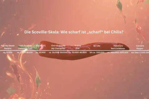 Die Scoville-Skala zeigt, wie viel Scoville hat eine Chili. Von milden Paprika bis zur extrem scharfen Carolina Reaper.