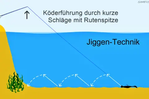 Angler demonstriert die Zander Jiggen-Technik: Köderführung durch kurze Schläge mit der Rutenspitze am Gewässergrund.
